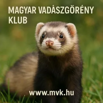 Vet-Plus Állatgyógyászati Patika