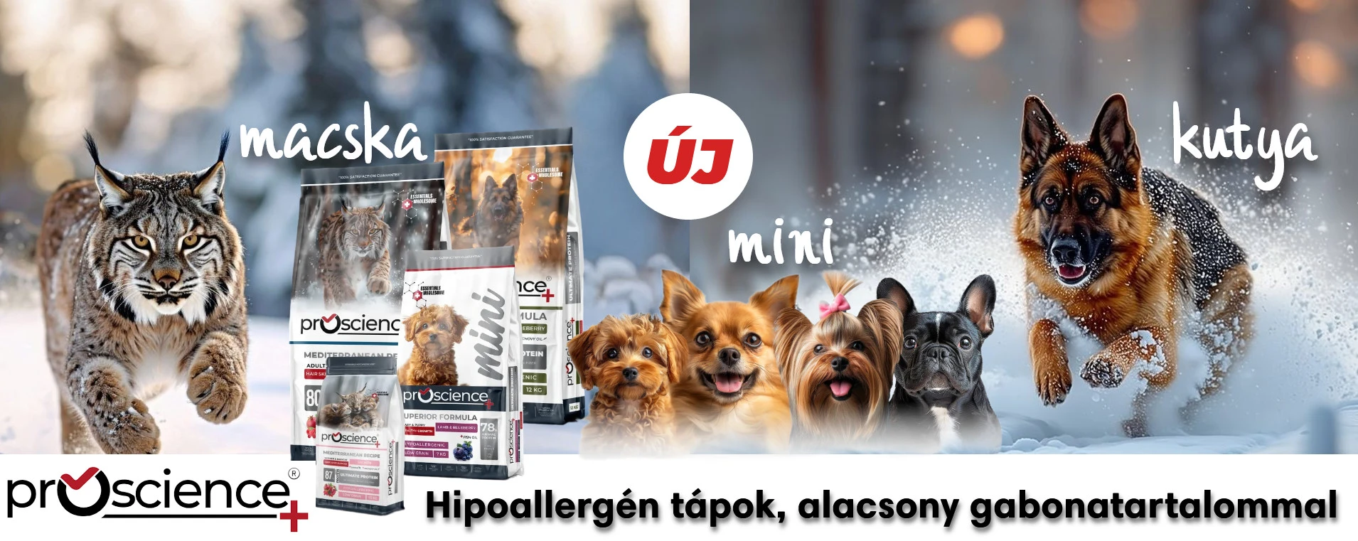 Vet-Plus Állatgyógyászati Patika