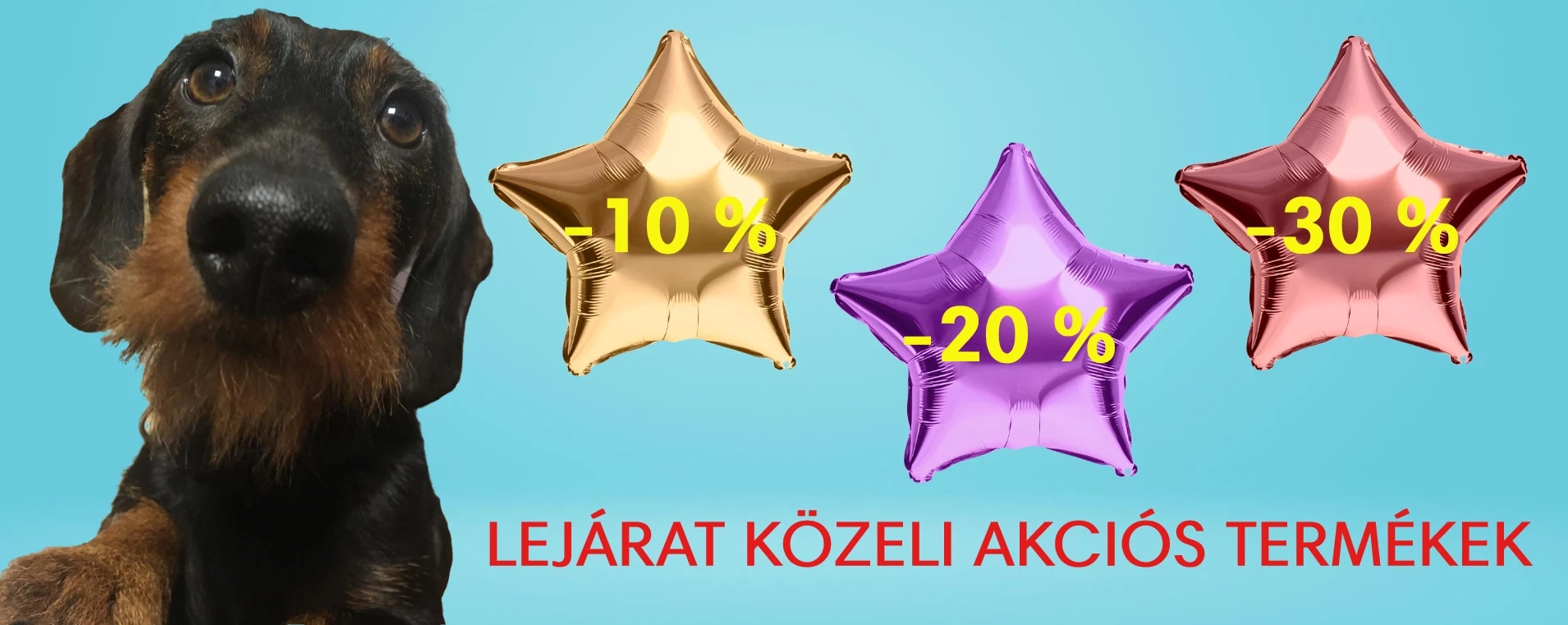 Vet-Plus Állatgyógyászati Patika