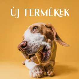 Újdonságok