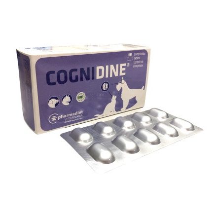 Cognidine® idegrendszert támogató tabletta kutyák és macskák részére 60x