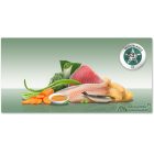 PLATINUM MENU Fish-nedves kutyatáp felnőtt kutyának hal 375g
