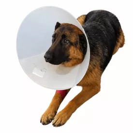 BUSTER Műtéti gallér 15cm