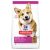 Hill's SP Canine Adult Small&Miniature Lamb&rice száraz eledel 6kg