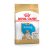 Royal Canin Canine Bulldog Puppy száraztáp 12kg