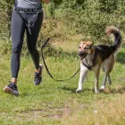 Trixie 12766 Waist Belt - futópóráz - piros/fekete - (70-120cm/12cm)