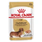 Royal Canin Dachshund Adult alutasak 12x85g