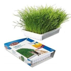 Trixie 4232 macskafű bio grass 100g dobozos