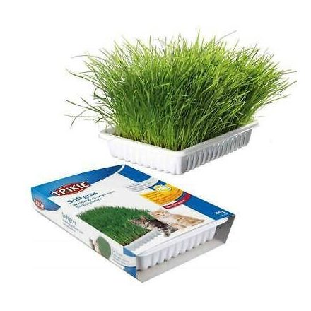 Trixie 4232 macskafű bio grass 100g dobozos