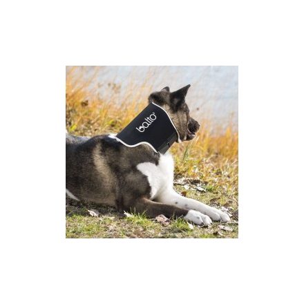 Balto - Nyalásmentes nyakmerevítő kutyáknak és macskáknak (M: 45-55cm)