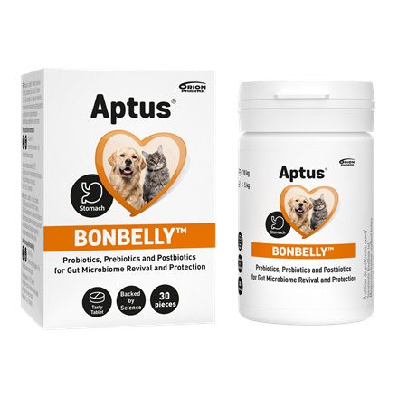 Aptus Bonbelly tabletta az emésztőrendszeri funkciók stabilizálására 30db