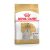 Royal Canin Canine Maltese Adult száraztáp 500g