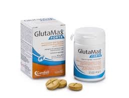 GlutaMax Forte 40g tabletta 20x 
