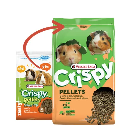 Versele-Laga Crispy Pellets Guinea Pig tengerimalac eleség  2kg (461162)