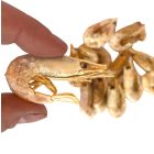 BARF LOVE Garnélarák jutalomfalat kutyáknak 50g