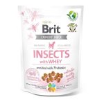   Brit Care Dog Puppy Insects with Whey & Probiotics funkcionális jutalomfalatok 200 g