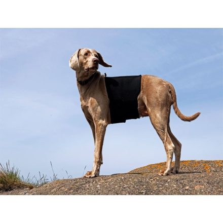 Ortocanis - Gerincvédő kutyáknak (L: +65cm)