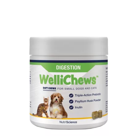NutriScience WelliChews cat-dog DIGESTION funkcionális jutalomfalat emésztőrendszer támogatására macskának és kistestű kutyának 120db