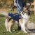 Balto - Teljes testhám kutyáknak L (50-59cm)