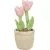 Trixie 99352593 Valentin tulip plush- plüss cserepes tulipán kutyajáték sípolóval 27cm