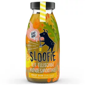   SLOOFIE MEAT SUN a jókedv, pulykahús-sütőtök-kurkuma kutyasmoothie 250ml