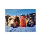 SmoothieDog - Marhahús smoothie menü kutyáknak 250ml