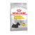 Royal Canin Canine Mini Dermacomfort száraztáp 3kg