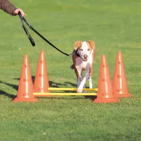   Trixie 32092 Dog Activity agility akadálypálya szett (Ø30cm x 50/100cm)