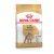 Royal Canin Canine Poodle száraztáp 500g