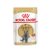 Royal Canin British Shorthair Alutasakos 12x85g