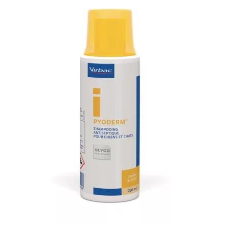 Pyoderm sampon 200 ml lejárat közeli