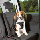 Trixie 12855 Car Harness Comfort - biztonsági hám autóba -fekete - (S-M) kutyák részére (40-55cm/17mm)