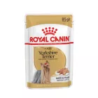 Royal Canin Yorkshire Terrier Adult alutasak 12 x 85g