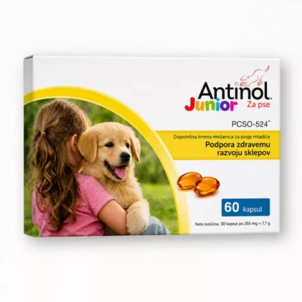 Antinol Junior izületvédő kapszula kölyökkutyáknak 60db