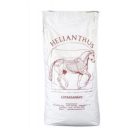 Helianthus SensiCare Active lótáp 20kg