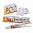 GlutaMax oral 15ml paszta 