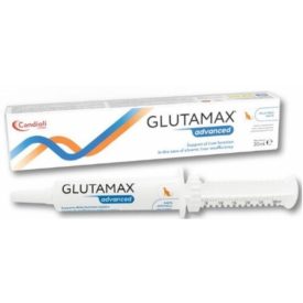 GlutaMax Advanced paszta 30ml