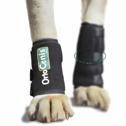 Ortocanis - Ízületvédő kéztőre kutyáknak S (12-13cm)