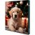 Trixie 9267 Xmas PREMIO Advent Calendar for Dogs - jutalomfalattal töltött kalendárium kutyák részére (24x8g)