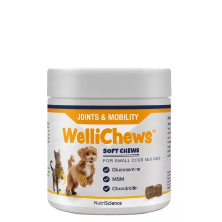 NutriScience WelliChews cat-dog JOINT ízület támogató funkcionális jutalomfalat macskának és kistestű kutyának 120db 
