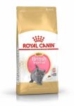 Royal Canin Feline British Shorthair Kitten száraztáp 400g