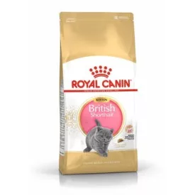 Royal Canin Feline British Shorthair Kitten száraztáp 400g