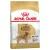 Royal Canin Canine Golden Retriever Adult száraztáp 12kg