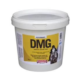 Equimins DMG – Dimetil-glicin  250g