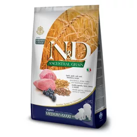   N&D Dog Ancestral Grain Puppy medium & maxi lamb & blueberry (bárányhússal és áfonyával) száraz kutyatáp 12kg