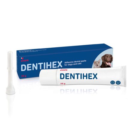 Dentihex fogászati adhezív paszta kutya és macska részére 20g
