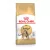 Royal Canin Feline Adult Bengál száraztáp 2kg lejárat közeli
