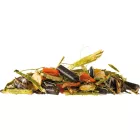Josera Kraut & Rüben Struktur gabonamentes müzli (száraztáp) anyagcsere problémákkal küzdő lovaknak 15kg 