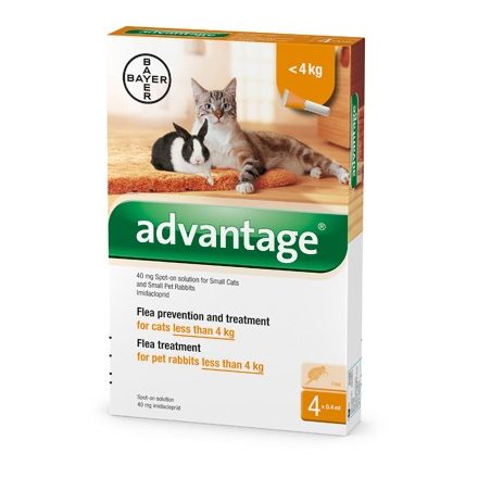 Advantage spot on ampulla macska és nyúl részére 4kg alatt 1 ampulla