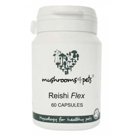 Reishi Flex 400mg kapszula  